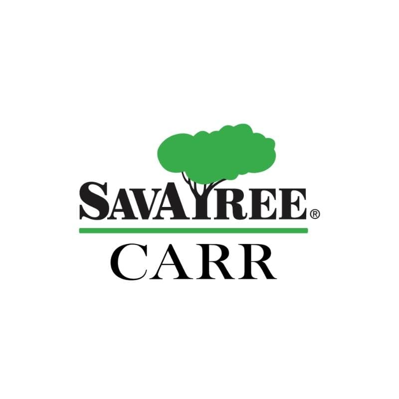 Carr Tree