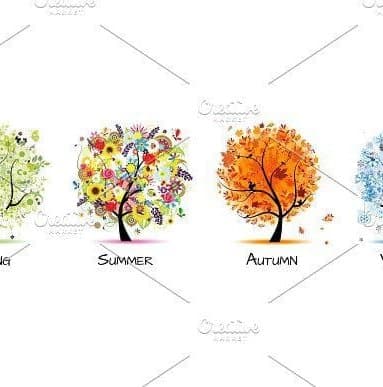Four Season's Cleaning LLC